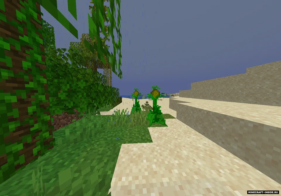 Soft Drink — Minecraft mod, rasm 3