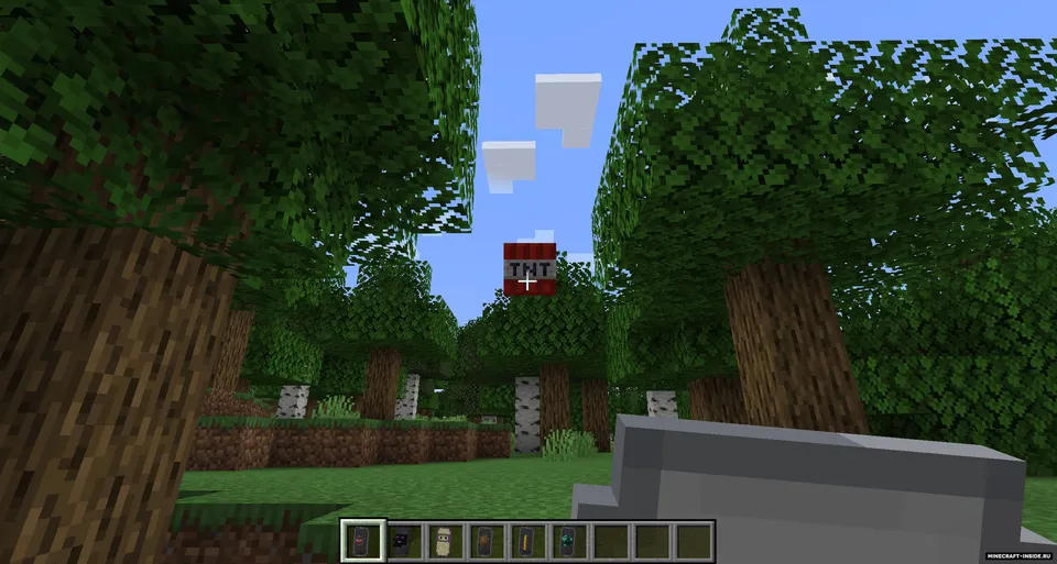 New Shield Variants — Minecraft mod, rasm 2
