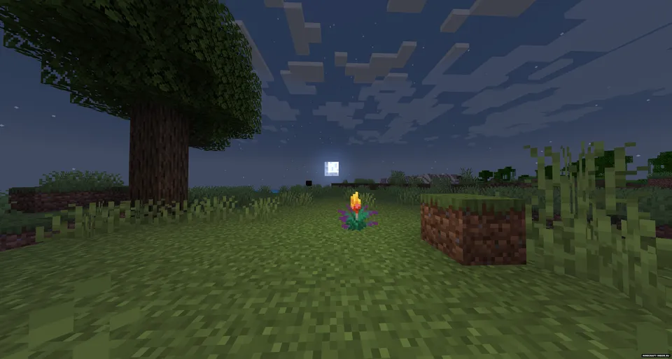 Torchflower: Relit — Minecraft mod, rasm 2