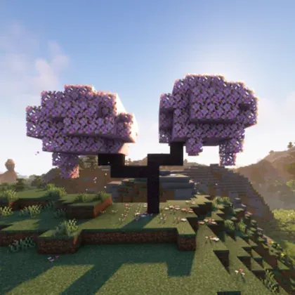 Blooming Blossom