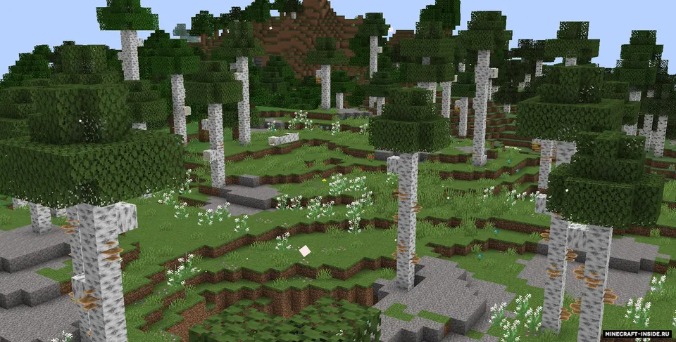 Silver Birch — Minecraft mod, rasm 2