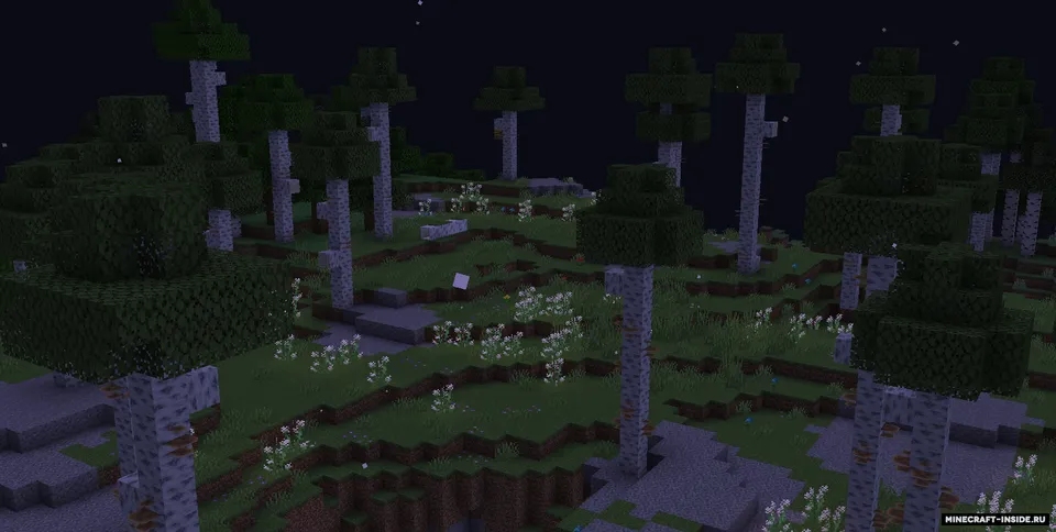 Silver Birch — Minecraft mod, rasm 3