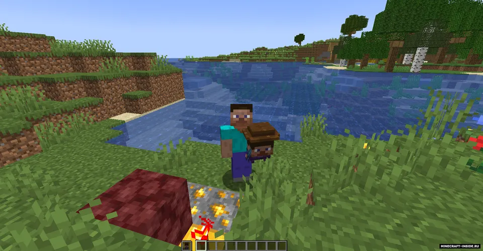 Micro Steve — Minecraft mod, rasm 2