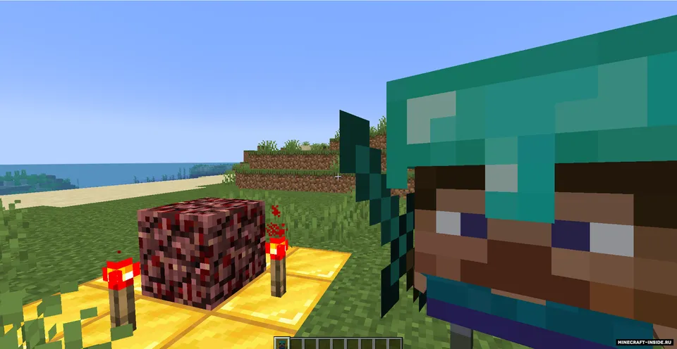 Micro Steve — Minecraft mod, rasm 5