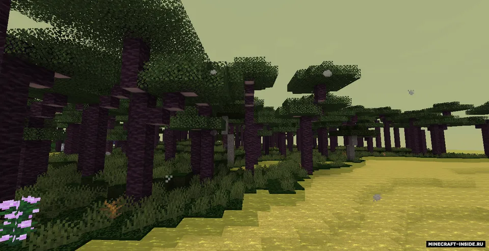 Mega's More-biomes — Minecraft mod, rasm 2
