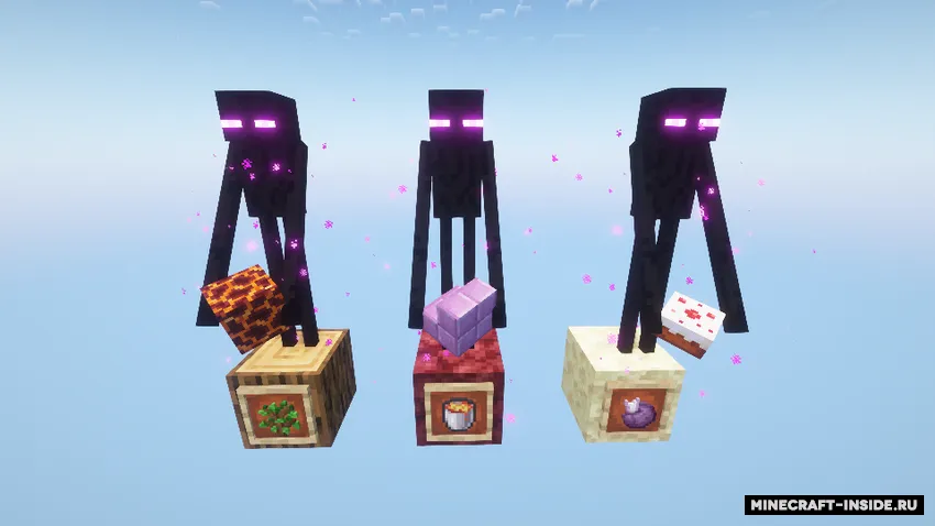 Endermen Spawn with Blocks — Minecraft mod, rasm 2