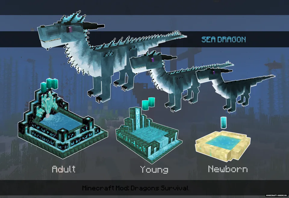 Dragons Survival — Minecraft mod, rasm 3