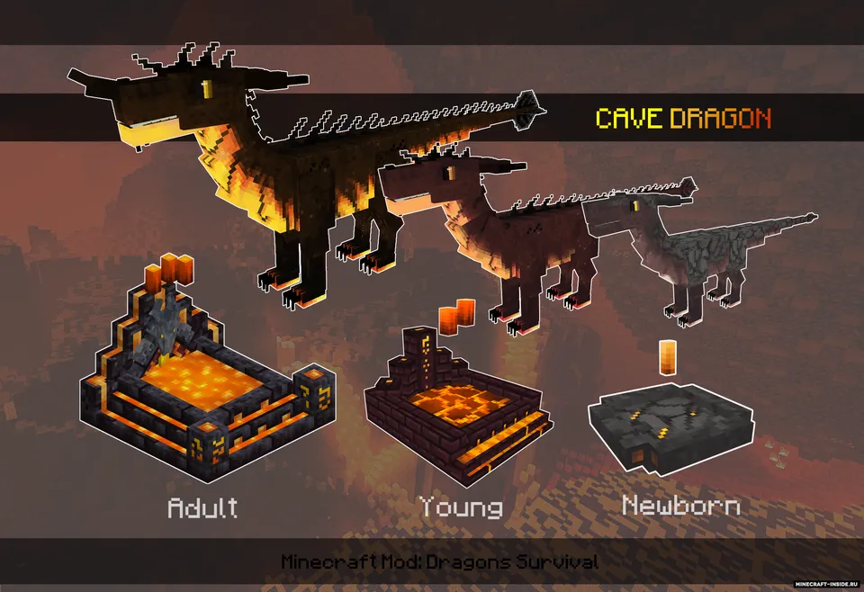 Dragons Survival — Minecraft mod, rasm 4