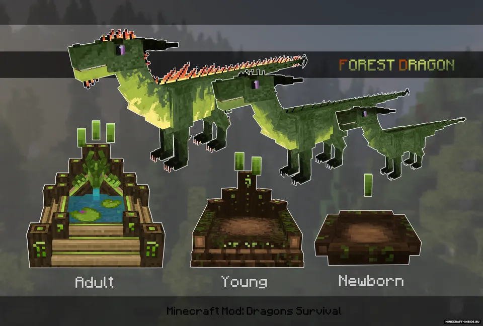 Dragons Survival — Minecraft mod, rasm 5