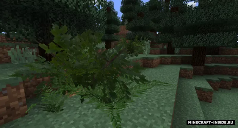 Vegetation+ — Minecraft mod, rasm 3
