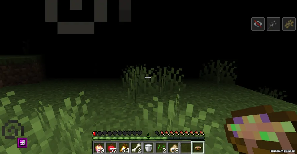 LoloSanity — Minecraft mod, rasm 2