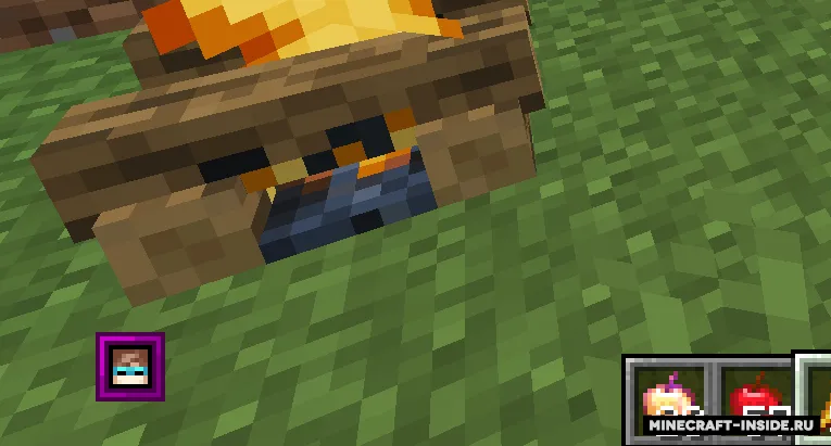 LoloSanity — Minecraft mod, rasm 3