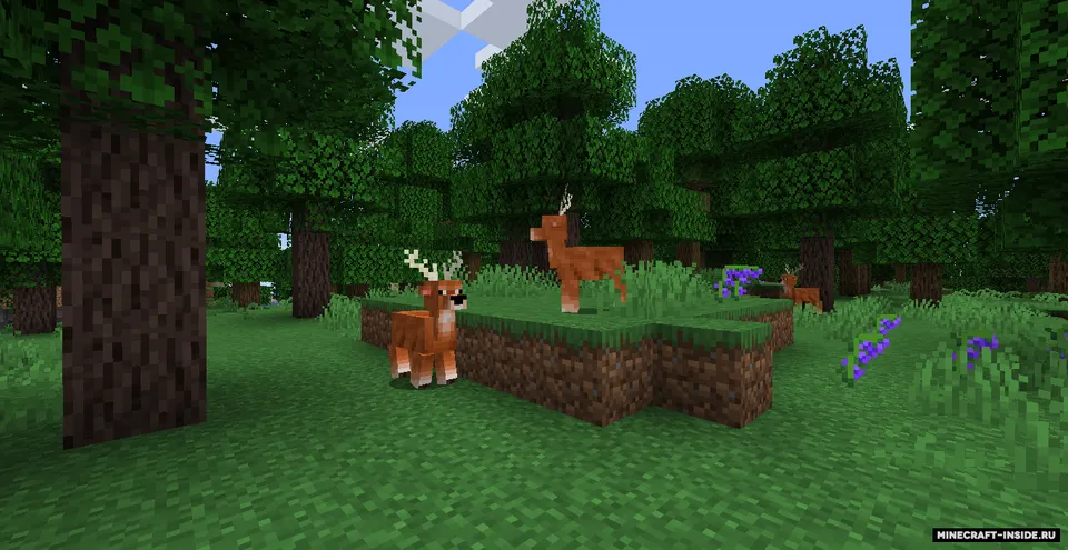 Wonderful World — Minecraft mod, rasm 5