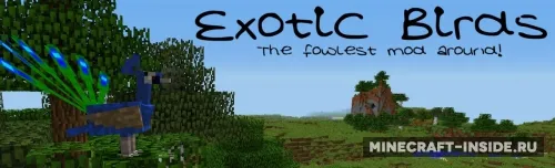 Exotic Birds — Minecraft mod, rasm 1