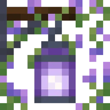 Aurora's Decorations