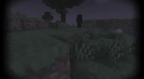 Dont look into the fog