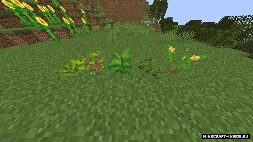 Fantastic Flora — Minecraft mod, rasm 2
