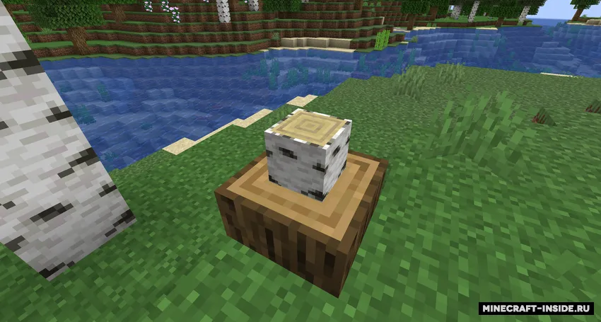 Qv Stump — Minecraft mod, rasm 2