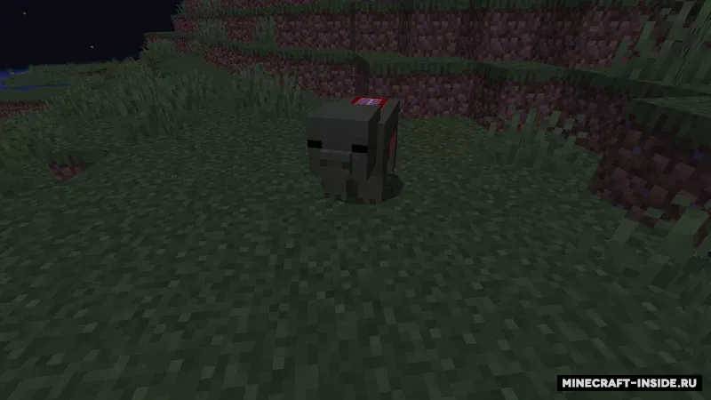 The Zombie Infection — Minecraft mod, rasm 5