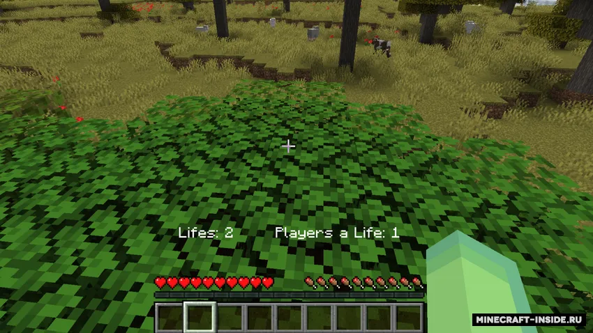 Hungergames system — Minecraft mod, rasm 2