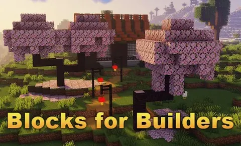 Blocks for Builders