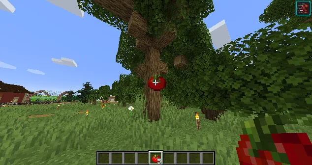 Xerca — Minecraft mod, rasm 6