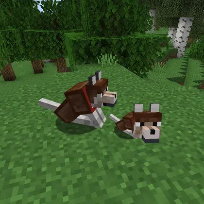 Pet Armor