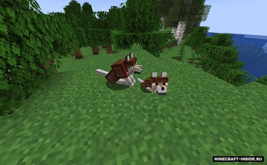 Pet Armor — Minecraft mod, rasm 2