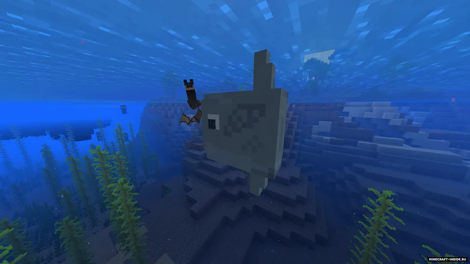 Oceanic — Minecraft mod, rasm 6