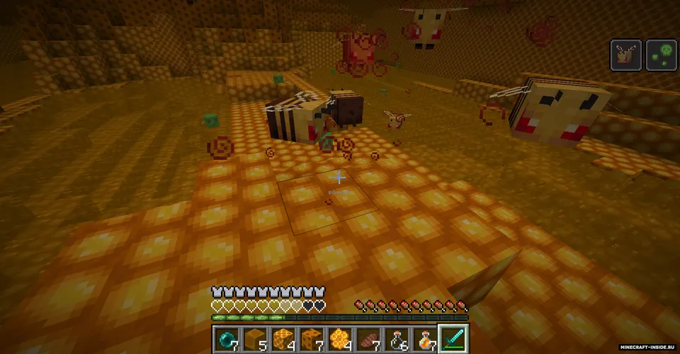 The Bumblezone — Minecraft mod, rasm 6