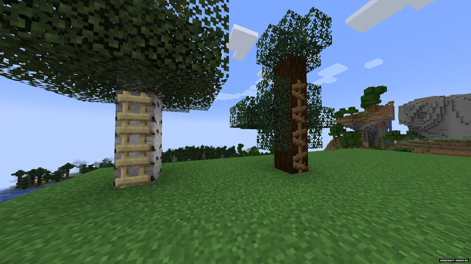 More Ladders — Minecraft mod, rasm 2
