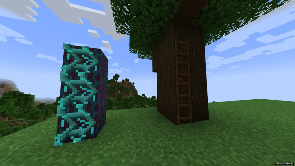 More Ladders — Minecraft mod, rasm 4