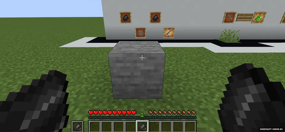 Bibliomania — Minecraft mod, rasm 4
