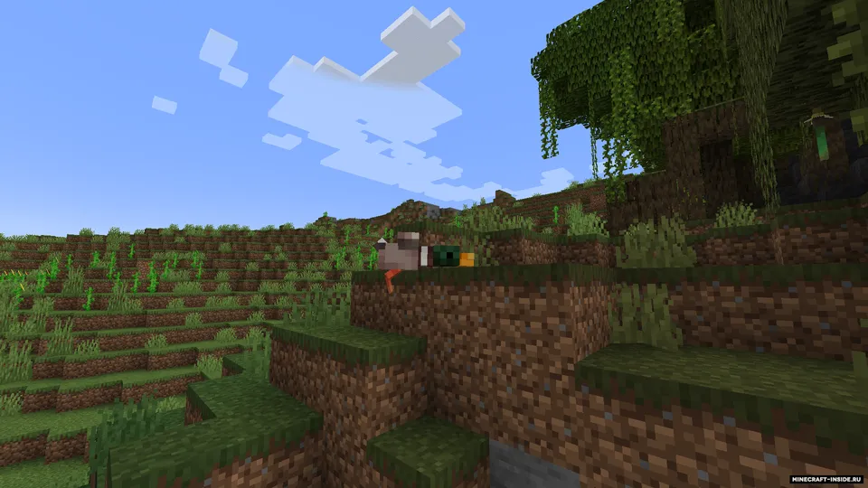 Variety Birds — Minecraft mod, rasm 2