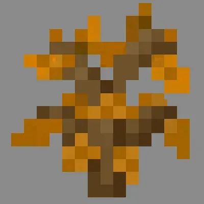 Maple