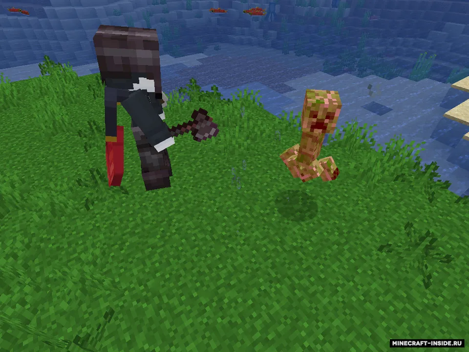 IronFort — Minecraft mod, rasm 4