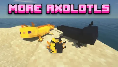 More Axolotl