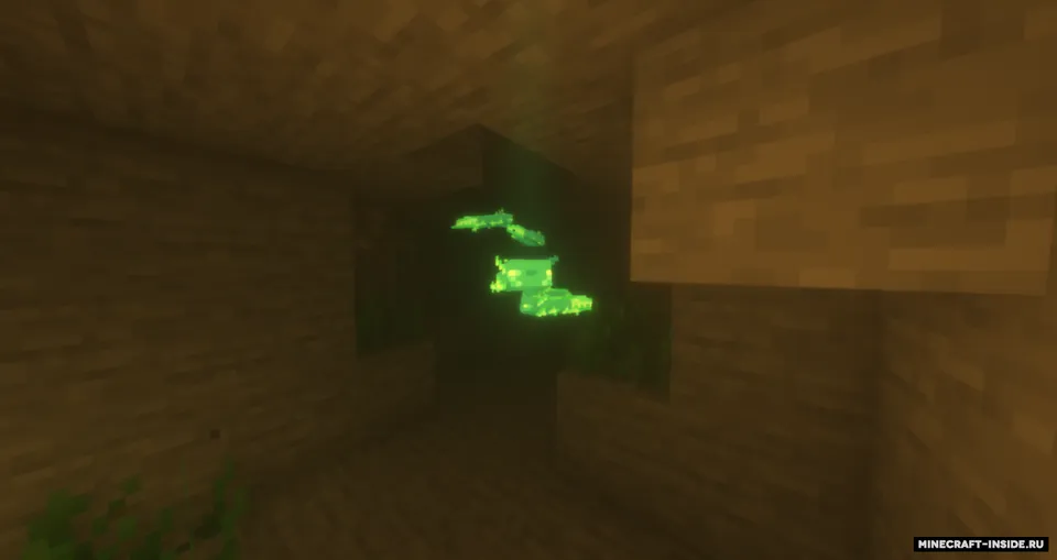More Axolotl — Minecraft mod, rasm 4