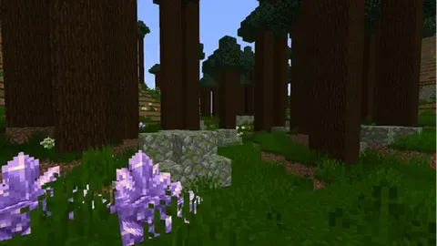 Cofin's Biomes