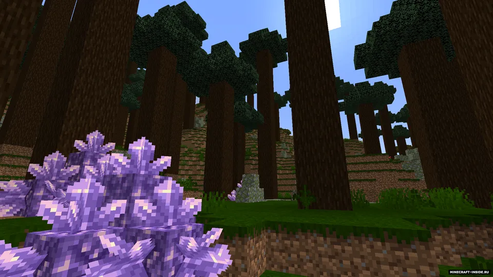 Cofin's Biomes — Minecraft mod, rasm 3