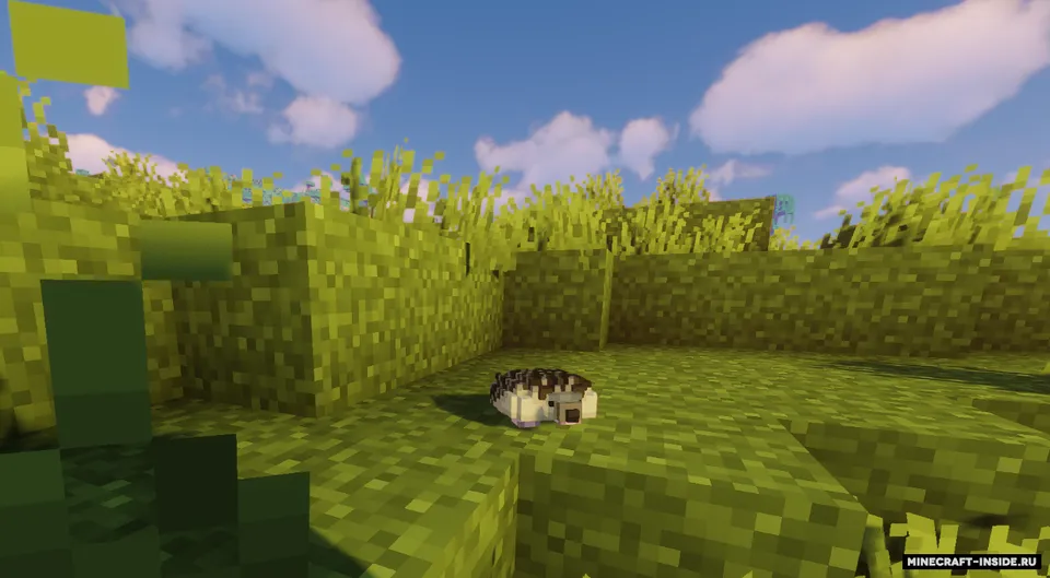 Hedgehoggery — Minecraft mod, rasm 2