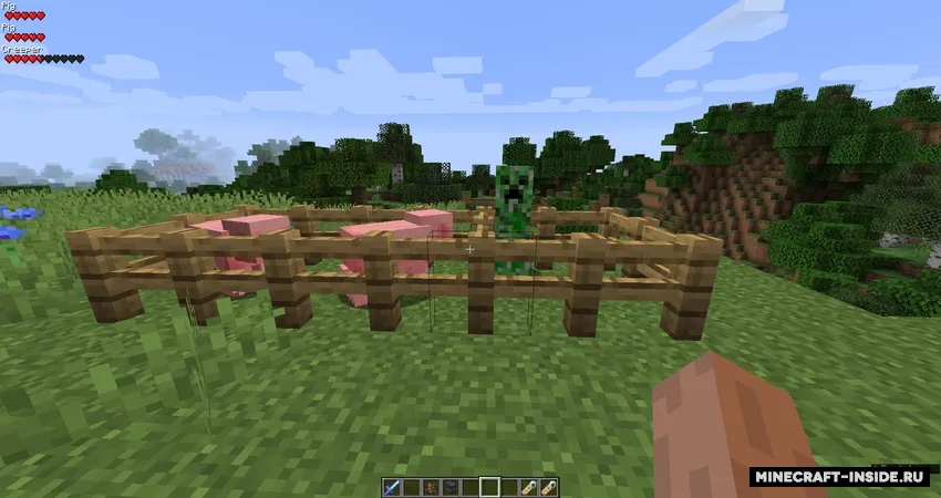 Surrounding Indicators — Minecraft mod, rasm 2