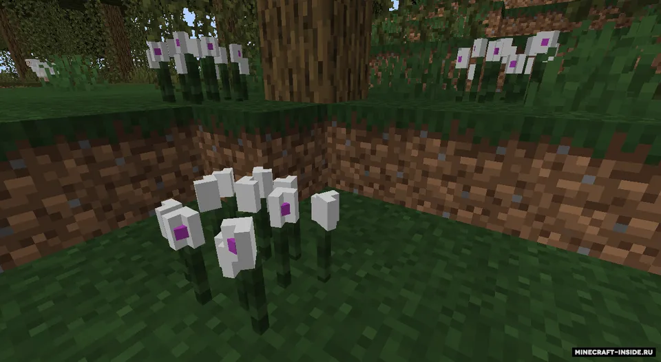 Vanilla Extensions (Keith's Update) — Minecraft mod, rasm 4