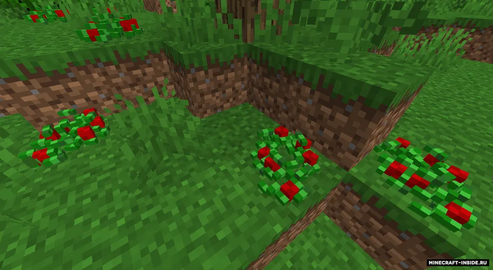 Vanilla Extensions (Keith's Update) — Minecraft mod, rasm 5