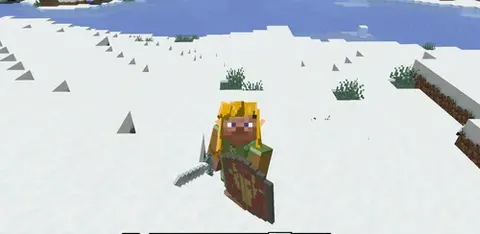 Zelda Armor