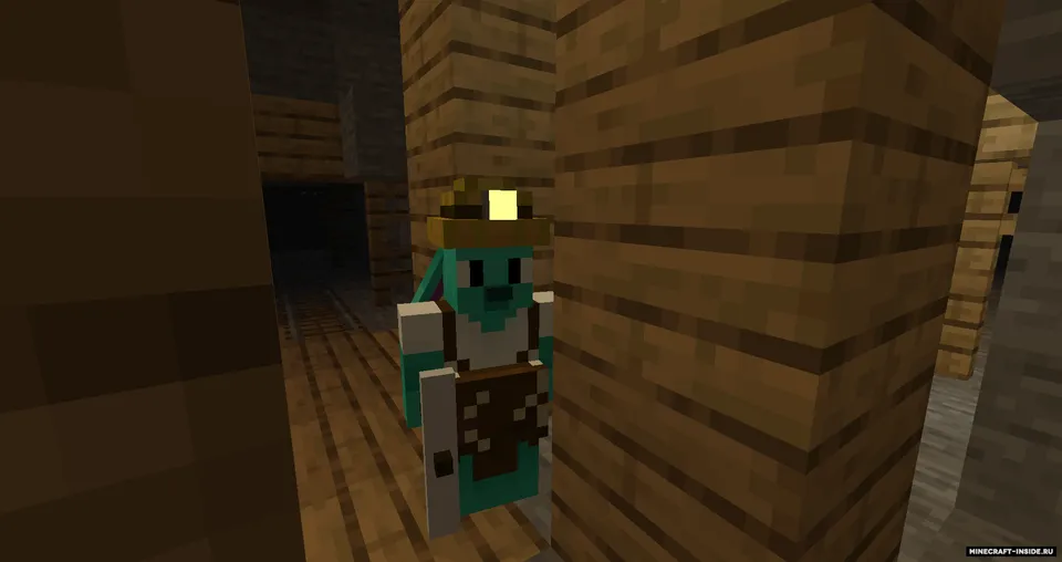 Minecraft Vote — Minecraft mod, rasm 6