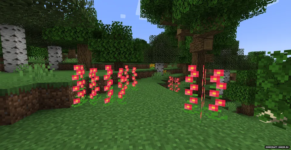 AndyCat's Flowers — Minecraft mod, rasm 6