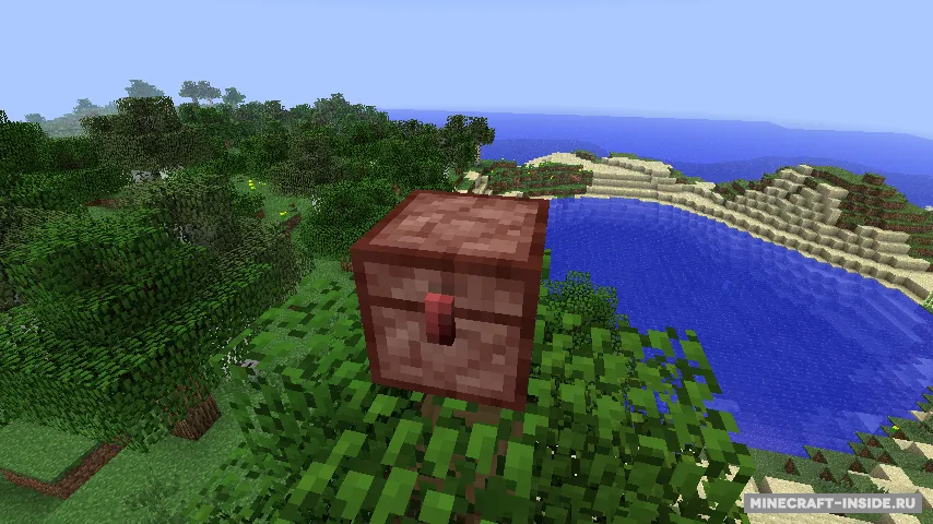 EvilCraft — Minecraft mod, rasm 3
