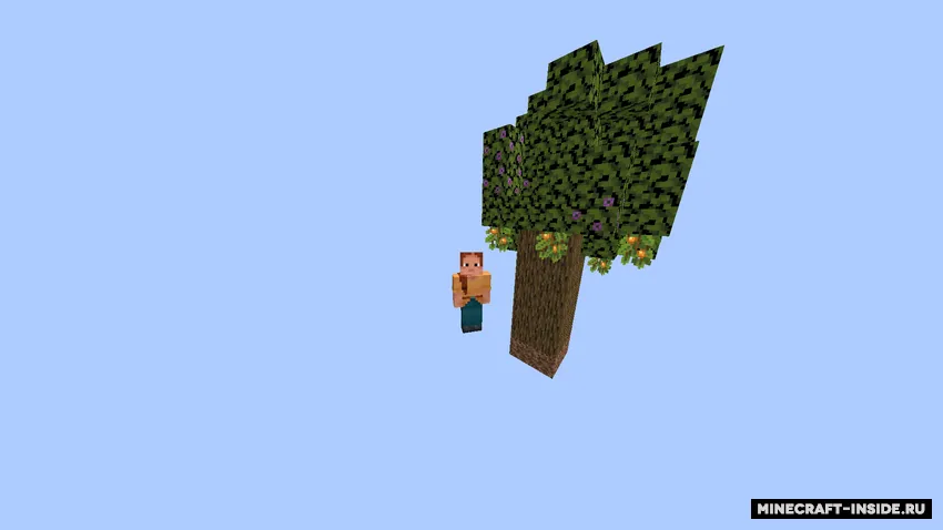 Random Skyblock mixins — Minecraft mod, rasm 2