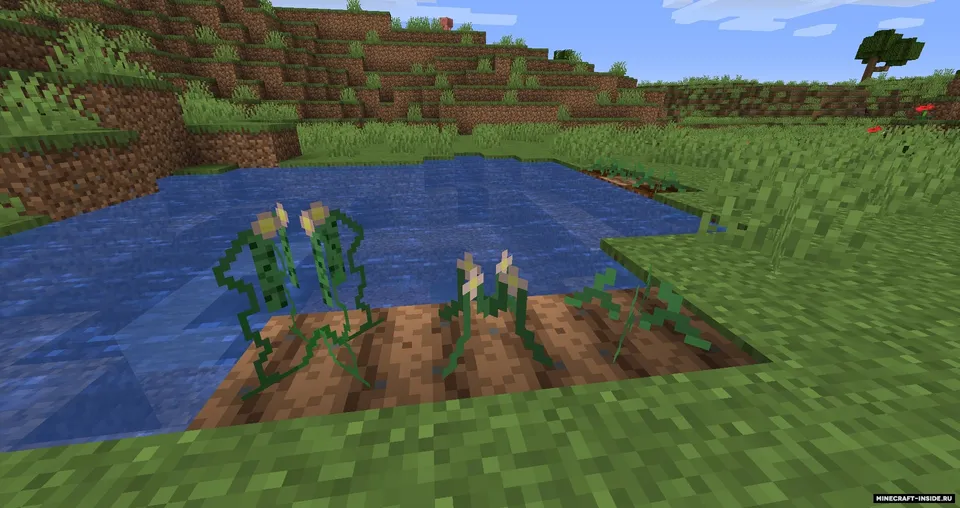 Wildest Adventure — Minecraft mod, rasm 6